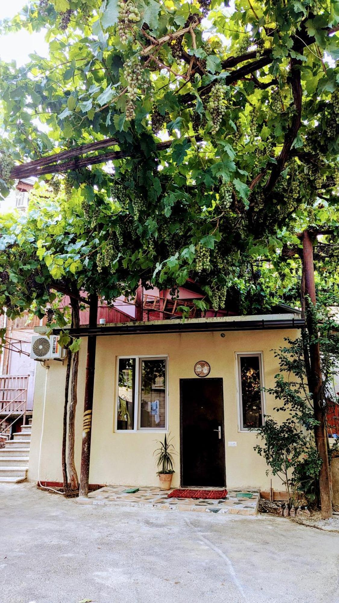 Green Corner Tbilisi Zimmer foto